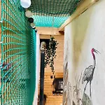 Czaplowisko - Z Sauna Na Kaszubach Semesterbostad *