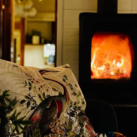 Czaplowisko - Skandynawskie Na Kaszubach Tatil Evi *