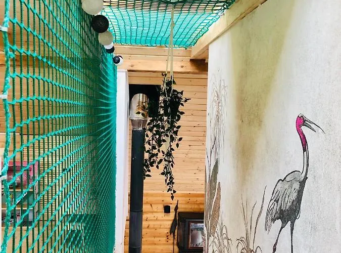 Czaplowisko - Z Sauna Na Kaszubach Semesterbostad *